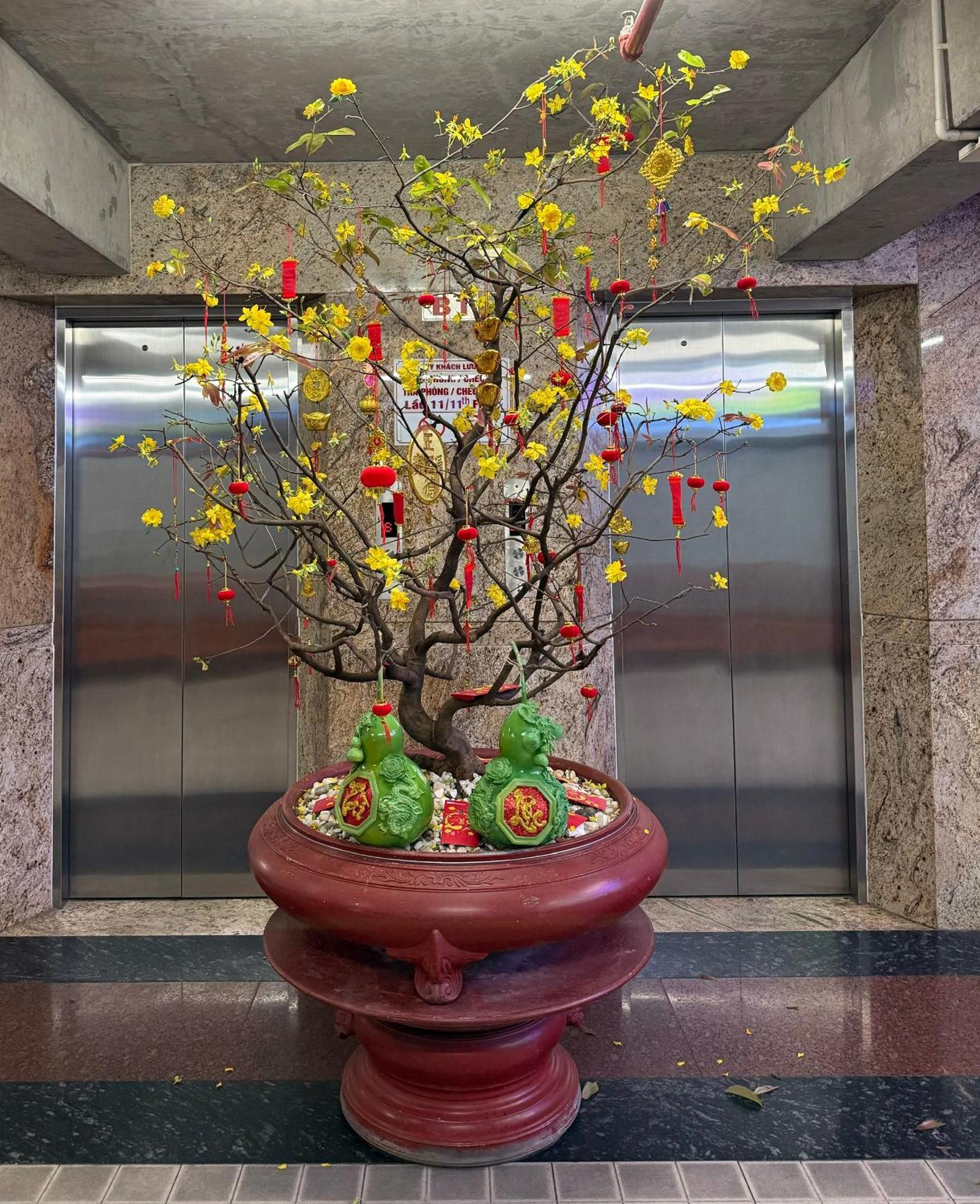 Thien Tai Hotel Ho Chi Minh Zewnętrze zdjęcie